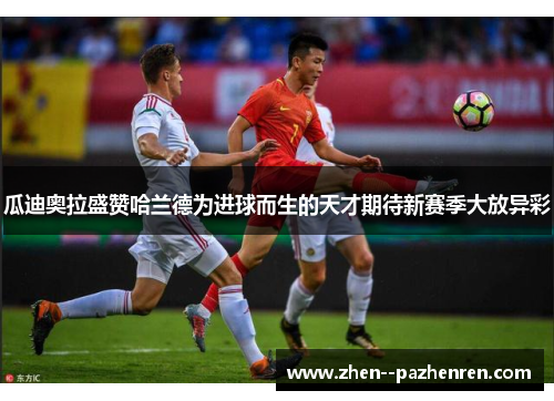 瓜迪奥拉盛赞哈兰德为进球而生的天才期待新赛季大放异彩